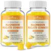 2 Pack Magnesium Malate Gummies 1000mg, High Absorption Magnesium Supplements for Adults & Kids, with L-Theanine, CoQ10 & Vitamin B6, Support Energy Production, Muscle Function, Non-GMO, Vegan, 120Ct view 1