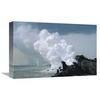 12 x 18 in. Marine Iguanas with Steam from Lava Flowing Into Sea, Galapagos Islands, Ecuador Art Print - Tui De Roy view 1