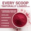 Dr. Berg Raw Organic Beet Powder from Real Earth-Grown Beets USDA Certified Organic Beet Root Powder to Support Nitric Oxide Levels, Energy, Blood Flow, & Heart Health* 30 Servings view 4