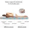 100% Natural Latex Mattress Topper,Soft Body Massage Mattress,Soothing Pressure Point Relief | Support for Shoulders, HIPS, Back, and Knees,10cm,60x180cm(23X71in) view 3