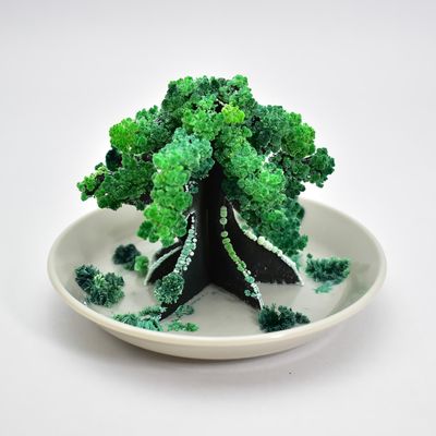 Chatani 39-031 FunScience Leaf Tabletop Object/Bonsai H8 x W12 x D12 cm Made in Japan (Kyoto)