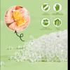 GENERALCARE Disposable TPE Cooking Gloves, Ideal for Cleaning and Food Prep, Latex & Powder Free, Food safe (2 * 100PCS, Medium) view 3