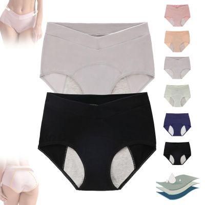 BnMvF Leak Proof Panties, Leak Proof Underwear,Low-Waisted Incontinence Panties (Large,2Pcs-C)