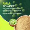 100% Pure & Natural Amla Powder (250 grams) for Eating & Drinking, Indian Gooseberry Fruit for Healthy Hair Growth & Skin Care, No Preservatives view 3