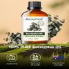 Airoomoil Eucalyptus Essential Oil 4 fl oz, 100% Pure Undiluted Single Note Oil for Shower Steam, Diffuser, Laundry & DIY Cleaning, Aromatherapy, Large Bottle for Home & Daily Use view 2