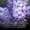 Airoomoil Wisteria Essential Oil 4 fl oz, 100% Pure Floral Oil for Diffusers and Home Use, Light Sweet Green Floral Aroma for Candle and Soap Making, DIY Projects, Massage Dilution, Natural Scent view 4