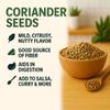 SPICY PANTRY Coriander Seeds 12 oz Whole, Aromatic Spice for Curries, Pickling, and Baking Warm Citrus Flavor, Ideal for Spice Blends and Soups view 3