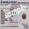 Arwacraft Natural Gomed Stone 8.25 Ratti / 7.42 Carat Certified Hessonite Garnet A1+ Quality Gemstone For Men And Women-B099PSBYMRNAMZ, zzzz-s, Gemstone view 3