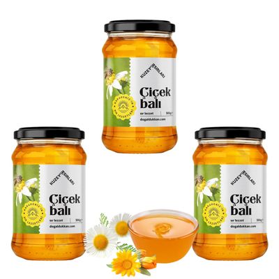 Natural, Giresun Highlands Flower Honey, Organic, Additive-Free, Authentic Turkish Product, (500g/17.6 fl oz) - PACK OF 3