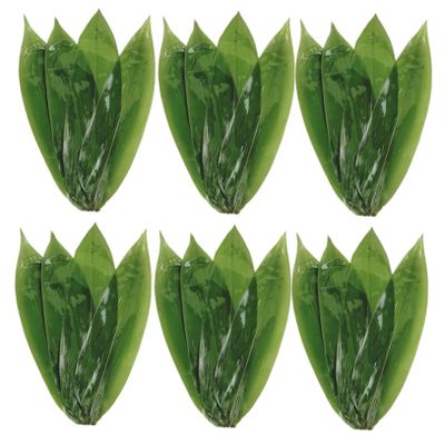 Alipis 50pcs Bamboo Leaves for Making Cooking and Sushi Decoration Traditional Leaf for Home Use Food-Grade Material for Festivals and Gourmet Preparation