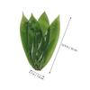 Alipis 50pcs Bamboo Leaves for Making Cooking and Sushi Decoration Traditional Leaf for Home Use Food-Grade Material for Festivals and Gourmet Preparation view 2