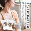 Akagi Foods Akagi no Amaume Kari Kari Ume Japanese Crispy Sweet & Sour Plum Snack 100g (Pack of 2), Sweet Kari Kari Ume Japanese Crunchy Umeboshi Snacks from Gunma Prefecture, MADE IN JAPAN, Limited Stock view 3