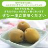Akagi Foods Akagi no Amaume Kari Kari Ume Japanese Crispy Sweet & Sour Plum Snack 100g (Pack of 2), Sweet Kari Kari Ume Japanese Crunchy Umeboshi Snacks from Gunma Prefecture, MADE IN JAPAN, Limited Stock view 4