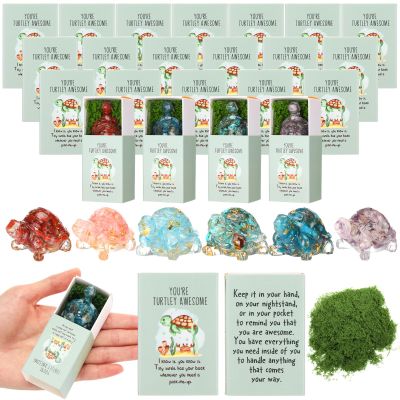 DoubleFill 24 Set Back to School Gifts Emotional Positive Inspirational Gifts for Teachers Employee Coworkers Staff Work Team Housekeeping Vet Tech Week (Natural Crystal)