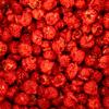 Colby Ridge Red Gourmet Craft Popped Gluten Free Popcorn Bulk Sized Large Gift Party Bags (Bulk 5 Gal. 80 Cups) view 2