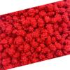 French Burnt Peanuts Candy | 1 Pound Bag | Crunchy Coated Peanuts | Old Fashioned Treat for Snacking and Gifting | Red Candy with Roasted Peanut Center view 1