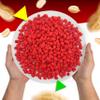 French Burnt Peanuts Candy | 1 Pound Bag | Crunchy Coated Peanuts | Old Fashioned Treat for Snacking and Gifting | Red Candy with Roasted Peanut Center view 4