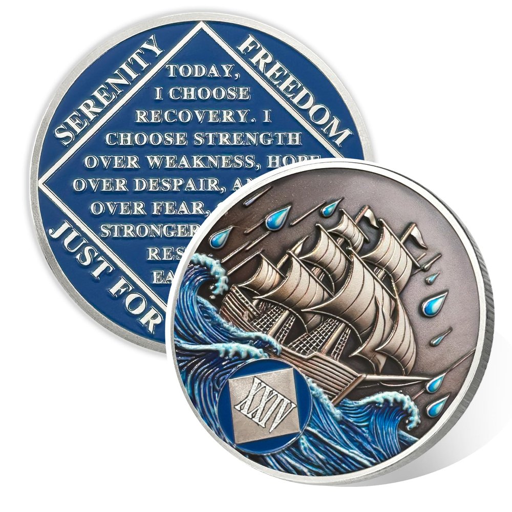 Vitalway Braving the Storm 24 Year Sobriety Coin, NA Recovery Medallion
