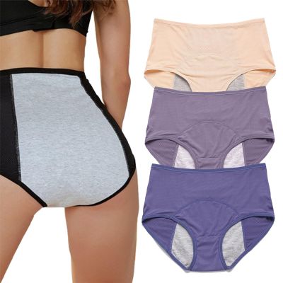 BnMvF Leak Proof Panties, Leakproof Underwear,Incontinence Underwear for Women 55+Washable,High-Waisted Leak (Large,3Pcs-G)