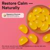 Riev Magnesium Glycinate Gummies 200mg Sugar-Free Supports Relaxation & Muscle Function Vegan, Non-GMO, No Gelatin Lemon Citrus Flavor 30 Gummies view 3