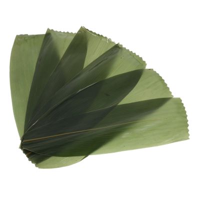 100Pcs Bamboo Leaves Sushi Decorative Leaf Mat for Sashimi Dish Garnish Japanese Style for Sushi Roll Presentation and Culinary Decoration