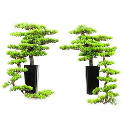 DUYHBAWRS Hotel Sample Room Creative Welcome Pine Bonsai Home Living Room Porch Bonsai Decoration