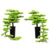 DUYHBAWRS Hotel Sample Room Creative Welcome Pine Bonsai Home Living Room Porch Bonsai Decoration view 1