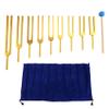 Yaregelun Tuning Forks Chakra Set, 174Hz/285Hz/396Hz/417Hz/528Hz/639Hz/741Hz/852Hz/963Hz,for Healing Chakra,Sound Therap Gold view 1