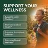 Clean Nutra Soursop Supplement Moringa Sea Moss Black Seed Oil Berberine Turmeric Resveratrol Quercetin Greens Bitters Boswellia Bitter Melon Burdock Root Antioxidant Support 90 Capsules view 2
