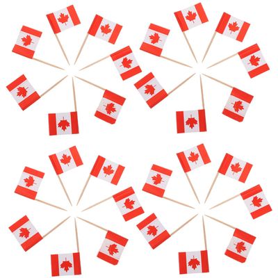 Alipis 300pcs Toothpick Flags for Desserts Decorative Picks World Flags for Hotels Clubs