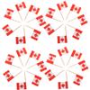 Alipis 300pcs Toothpick Flags for Desserts Decorative Picks World Flags for Hotels Clubs view 1