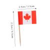 Alipis 300pcs Toothpick Flags for Desserts Decorative Picks World Flags for Hotels Clubs view 2