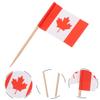 Alipis 300pcs Toothpick Flags for Desserts Decorative Picks World Flags for Hotels Clubs view 3