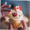 Alipis 300pcs Toothpick Flags for Desserts Decorative Picks World Flags for Hotels Clubs view 4