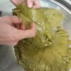 Natural Brined Grape Leaves, Premium Quality, Fresh, Additive-Free, Traditional Flavor, 900g, (DOAL TRK SALAMURA ASMA YAPRAI) - PACK OF 3 view 3