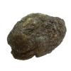 14.10oz Propolis - Raw & Unprocessed (400 g) view 4