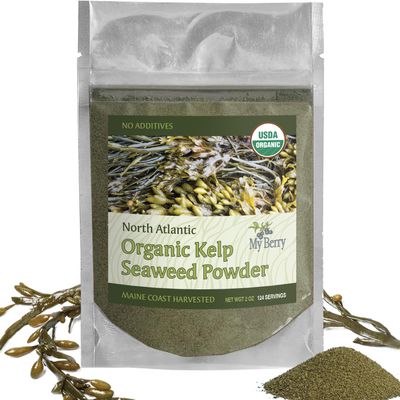 Organic Maine Coast Kelp Seaweed Powder 2oz by My Berry | Dark Green, Fresh Kelp Only | (Ascophyllum Nodosum) | US Atlantic Ocean Grown