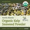 Organic Maine Coast Kelp Seaweed Powder 2oz by My Berry | Dark Green, Fresh Kelp Only | (Ascophyllum Nodosum) | US Atlantic Ocean Grown view 2