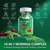 Moringa Gummies w/Ginger, Turmeric, Cranberry, Amla Fruit & Probiotics view 3