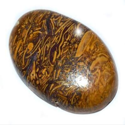 14.25 Ratti Natural Mariyam Fossil Healing Gemstone Mineral Mariyam Gemstone Cabochon Untreated Stone-B0C2KXPDMRNAMZ