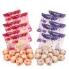 Zofia Sweet Yogurt Covered Fruit Snacks Variety Pack, 0.7oz - 12 Pouches Net 8.5oz (Strawberry 6 + Blueberry 6), Yogurt Coated Probiotic Fruits Bites, Dietary Fiber + Real Fruit, Healthy Snacks, 120Ct view 1
