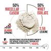 Apollon Nutrition Formula X 50/50 Protein Dual-Phase Protein Blend | Whey Isolate + Micellar Casein for Muscle & Recovery | 24g Complete Protein | 28 Servings (Chocolate Hazelnut) view 4