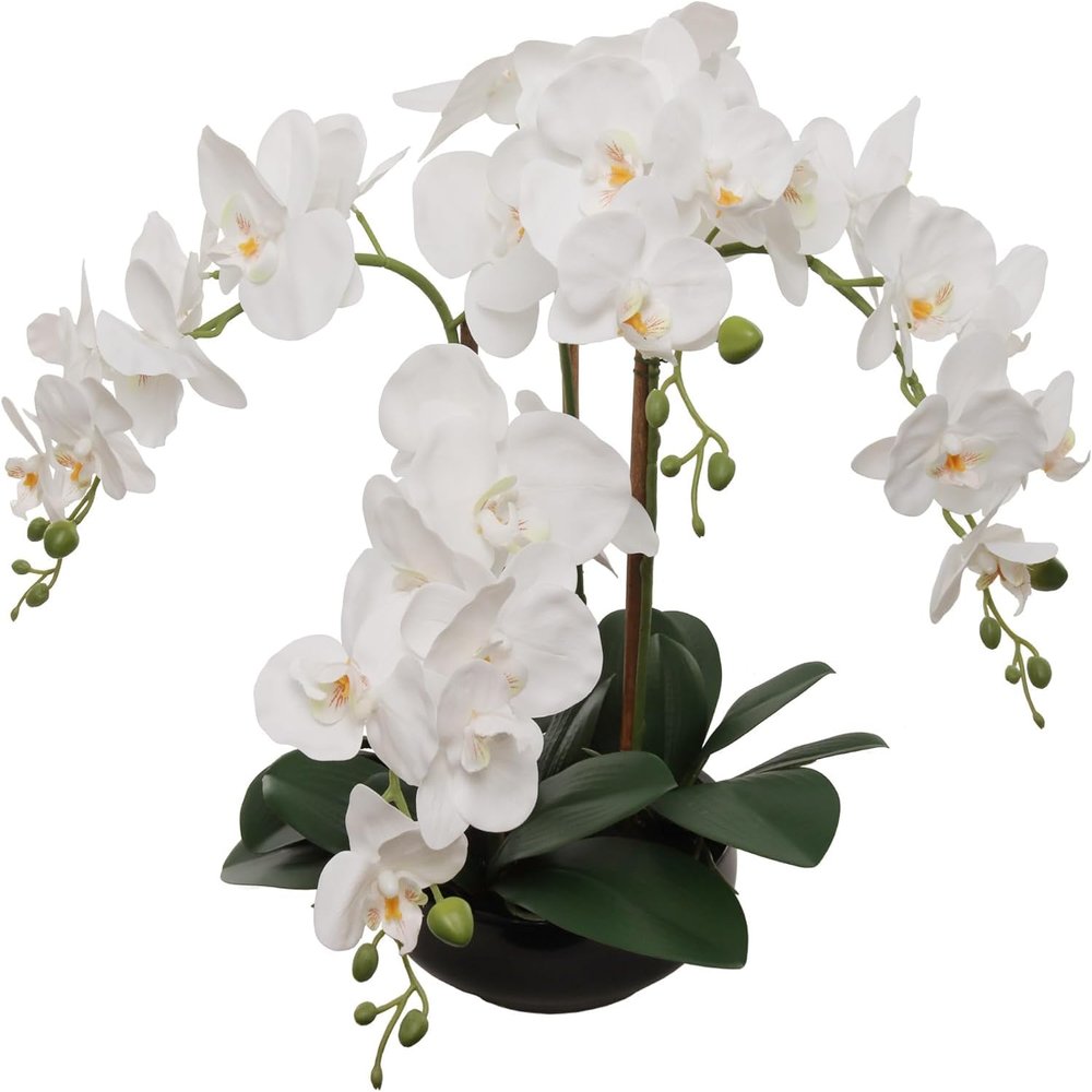 2-Pack 20" White Phalaenopsis Orchids in Black Round Pots Lifelike Faux Silk Flower Arrangements Elegant Home & Office Decor