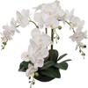 2-Pack 20" White Phalaenopsis Orchids in Black Round Pots Lifelike Faux Silk Flower Arrangements Elegant Home & Office Decor view 1