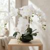 2-Pack 20" White Phalaenopsis Orchids in Black Round Pots Lifelike Faux Silk Flower Arrangements Elegant Home & Office Decor view 2