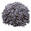 Jumbo Salted and Roasted Sunflower Seeds in Shell, 5.25 oz Bags - (3 - Pack, Original Flavor) view 2