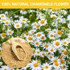 Chamomile Tea Bags, 100% Pure Natural Chamomile Flower Herbal Tea for Relaxation, Caffeine Free, Non-GMO, Additives Free,No Sugar/Gluten1 Pack/100 Bags) view 2