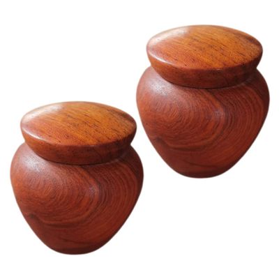 FUNNETOYU 2pcs Small Keepsake Urns for Human Ashes and Pet Hair Premium Memorial Containers for Ashes for Home and Remembrance