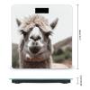 Weighing Scale for Body Weight Scales Digital Scale Portable Smart Funny Alpaca Llama Printed Bathroom Scale view 2