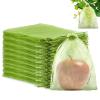 100pcs Fruit Protection Bags 8x12 inch,Green Mesh Bags Drawstring Fruit Protectors Pest Barrier for Grapes Trees & Party Favor, Candy, Jewelry Drawstring, Christmas Gift Bags, Wedding Mesh Goodie Bags view 1